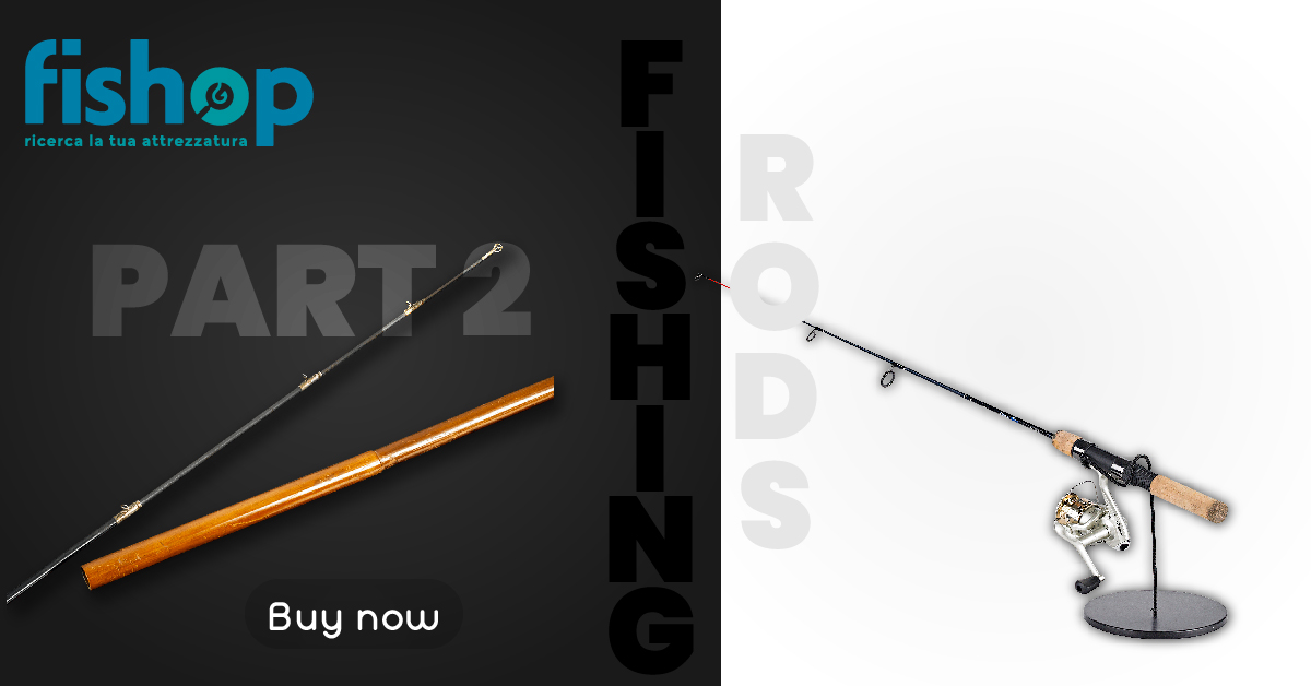 Part 2 Beginner’s guide to fishing “FISHING RODS”