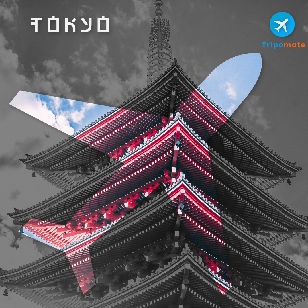 Tokyo -3